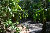 Enlarge photo 114
