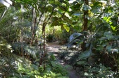 Enlarge photo 117