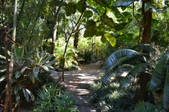 Enlarge photo 116