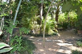 Enlarge photo 119