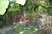 Enlarge photo 120
