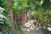 Enlarge photo 121