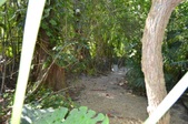 Enlarge photo 122
