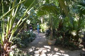 Enlarge photo 123