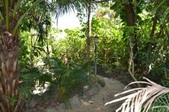 Enlarge photo 124
