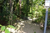 Enlarge photo 126