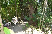 Enlarge photo 127
