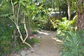 Enlarge photo 125