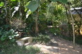 Enlarge photo 129