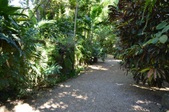 Enlarge photo 128
