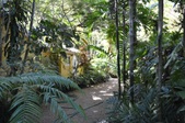 Enlarge photo 130