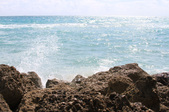 Enlarge photo 40