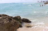 Enlarge photo 42