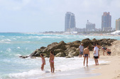Enlarge photo 49