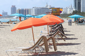 Enlarge photo 59