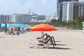 Enlarge photo 63