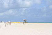 Enlarge photo 65