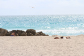 Enlarge photo 67