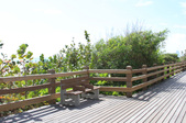 Enlarge photo 73