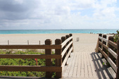 Enlarge photo 75