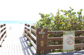 Enlarge photo 76
