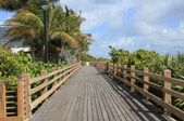 Enlarge photo 77