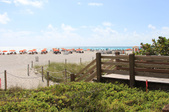 Enlarge photo 81