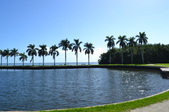 Enlarge photo 35