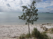 Enlarge photo 37