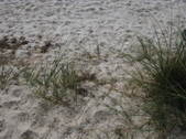 Enlarge photo 42