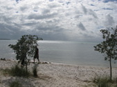 Enlarge photo 41
