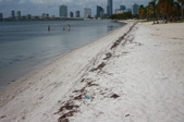 Enlarge photo 49