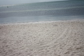 Enlarge photo 50