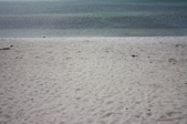 Enlarge photo 52