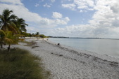 Enlarge photo 35