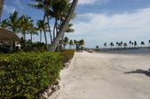 Enlarge photo 36