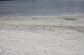 Enlarge photo 43