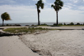Enlarge photo 54