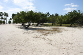 Enlarge photo 65