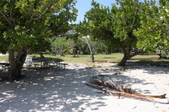 Enlarge photo 33