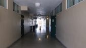 Enlarge photo 54