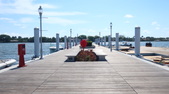 Enlarge photo 36