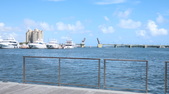 Enlarge photo 51