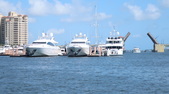 Enlarge photo 54