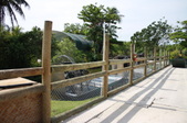 Enlarge photo 30