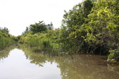 Enlarge photo 50