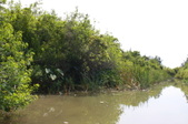 Enlarge photo 51