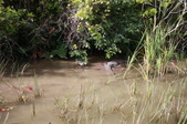 Enlarge photo 55