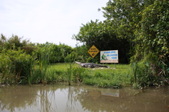 Enlarge photo 54