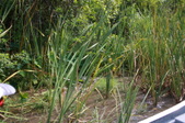 Enlarge photo 57